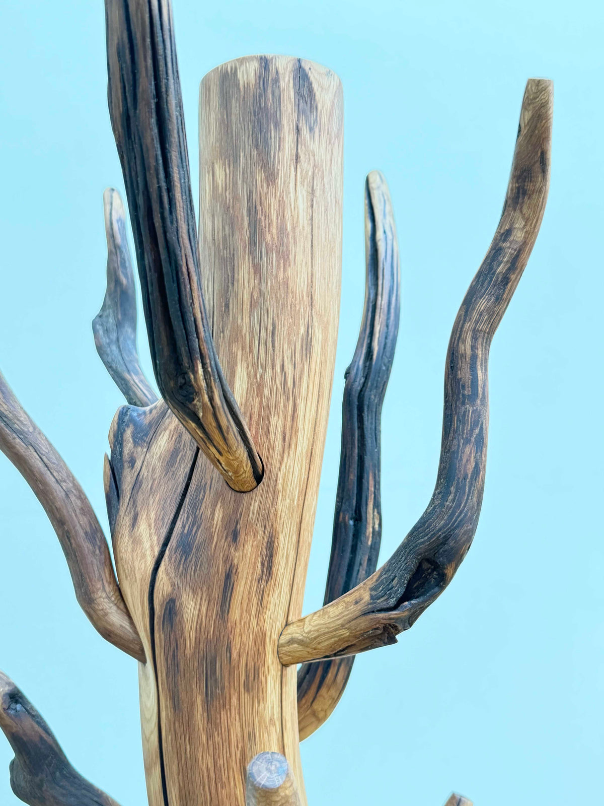 Oak Coat Rack made of branches. Wood sculpture furniture.