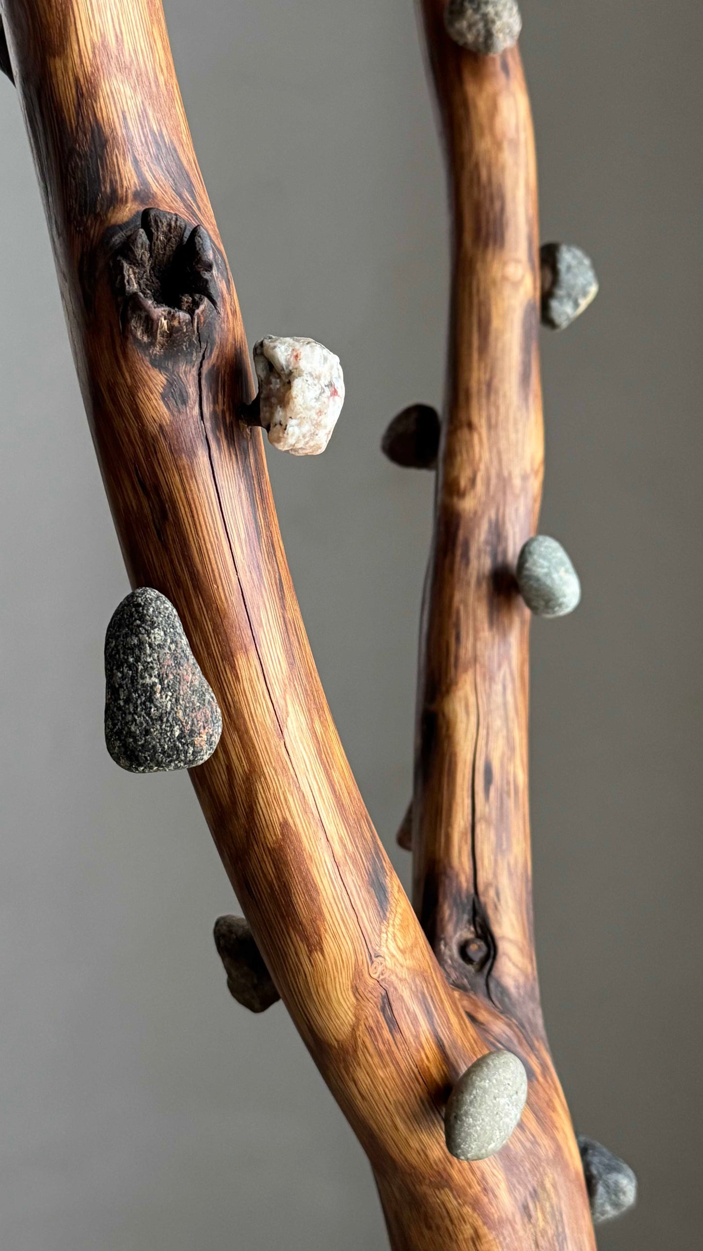 Oak & Stone coat rack Wood coat stand with natural branch design