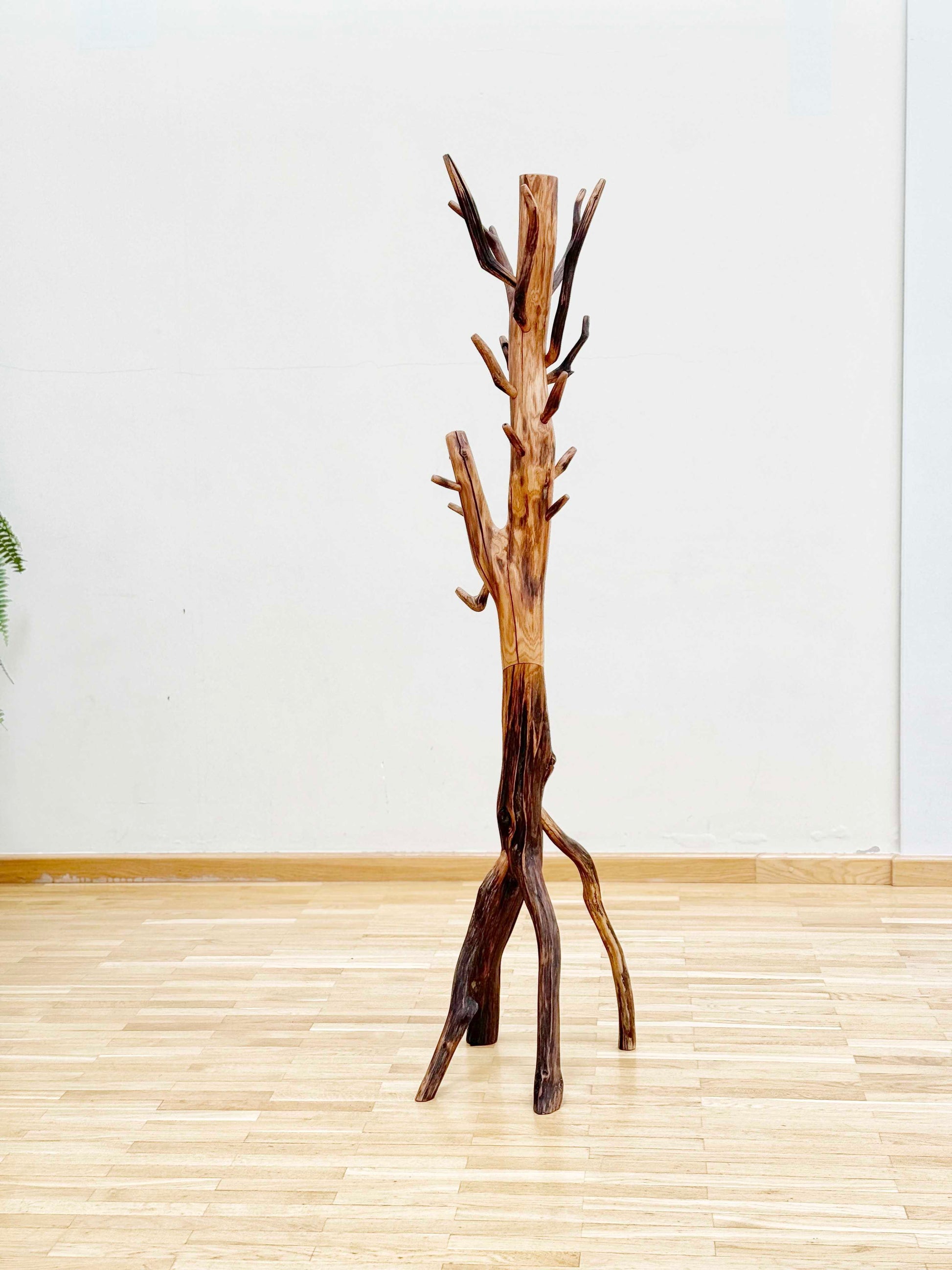 Oak Coat Rack made of branches. Wood sculpture furniture.