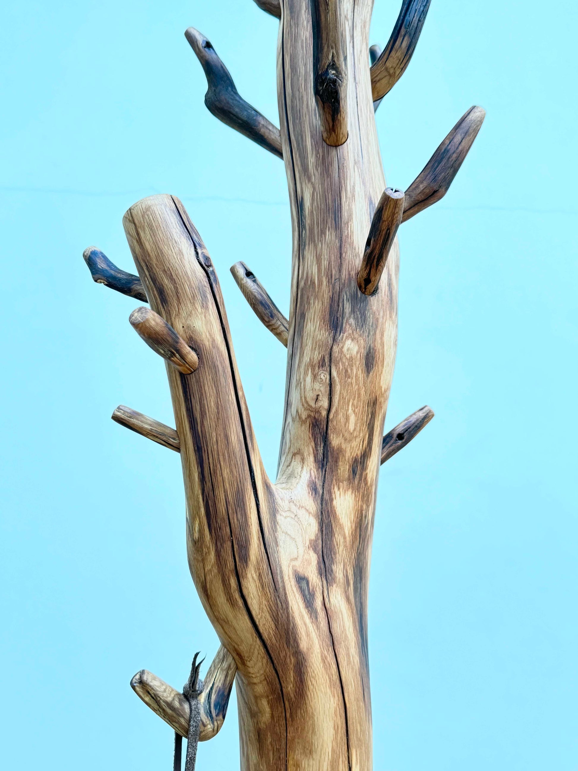Oak Coat Rack made of branches. Wood sculpture furniture.