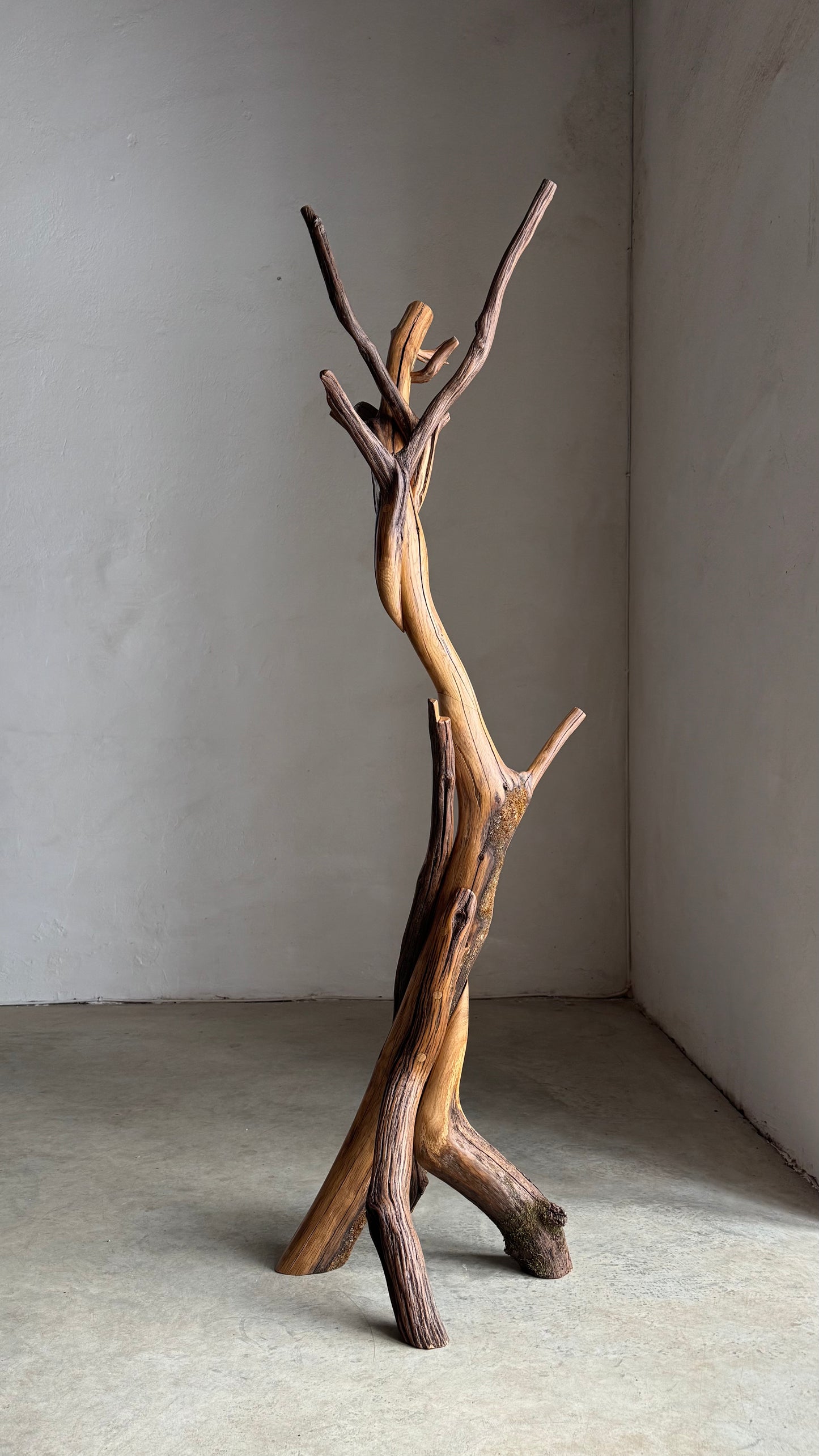 Wood Coat Rack Nature's Elegance