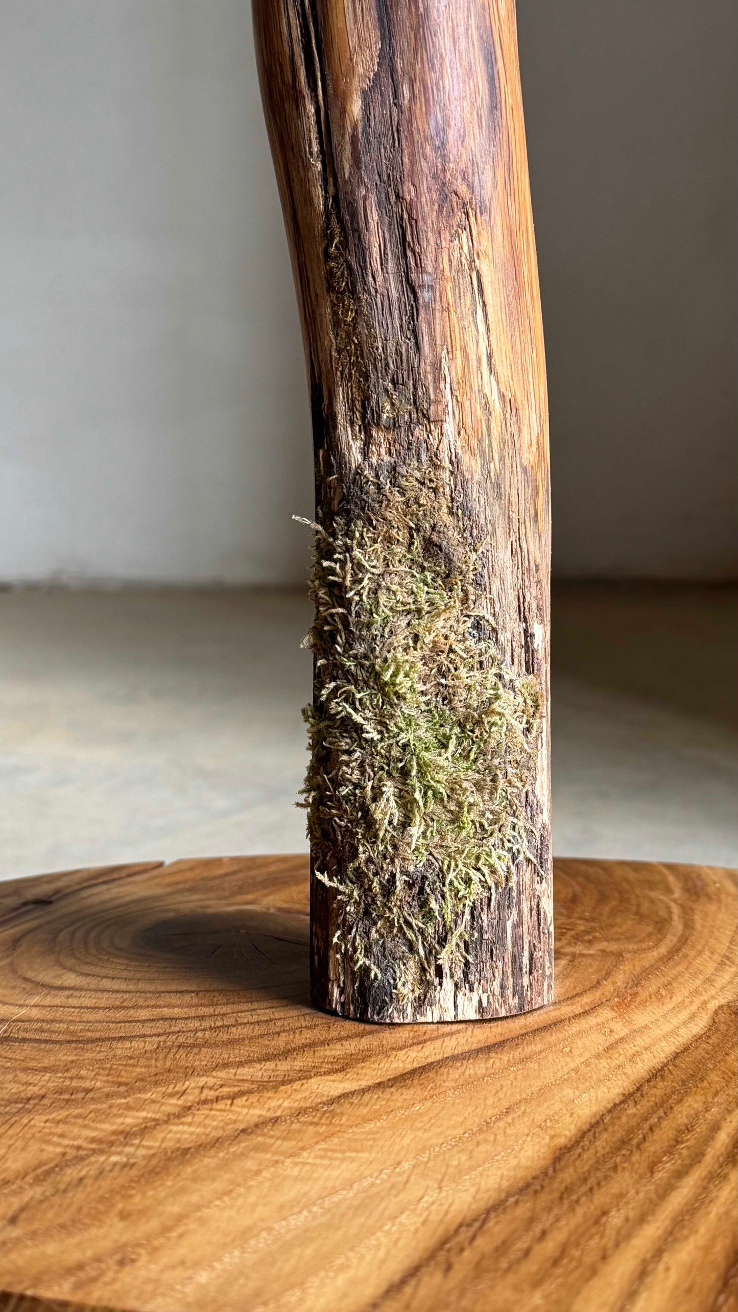 Oak Coat Rack with steel hangers Wooden coat stand with moss.
