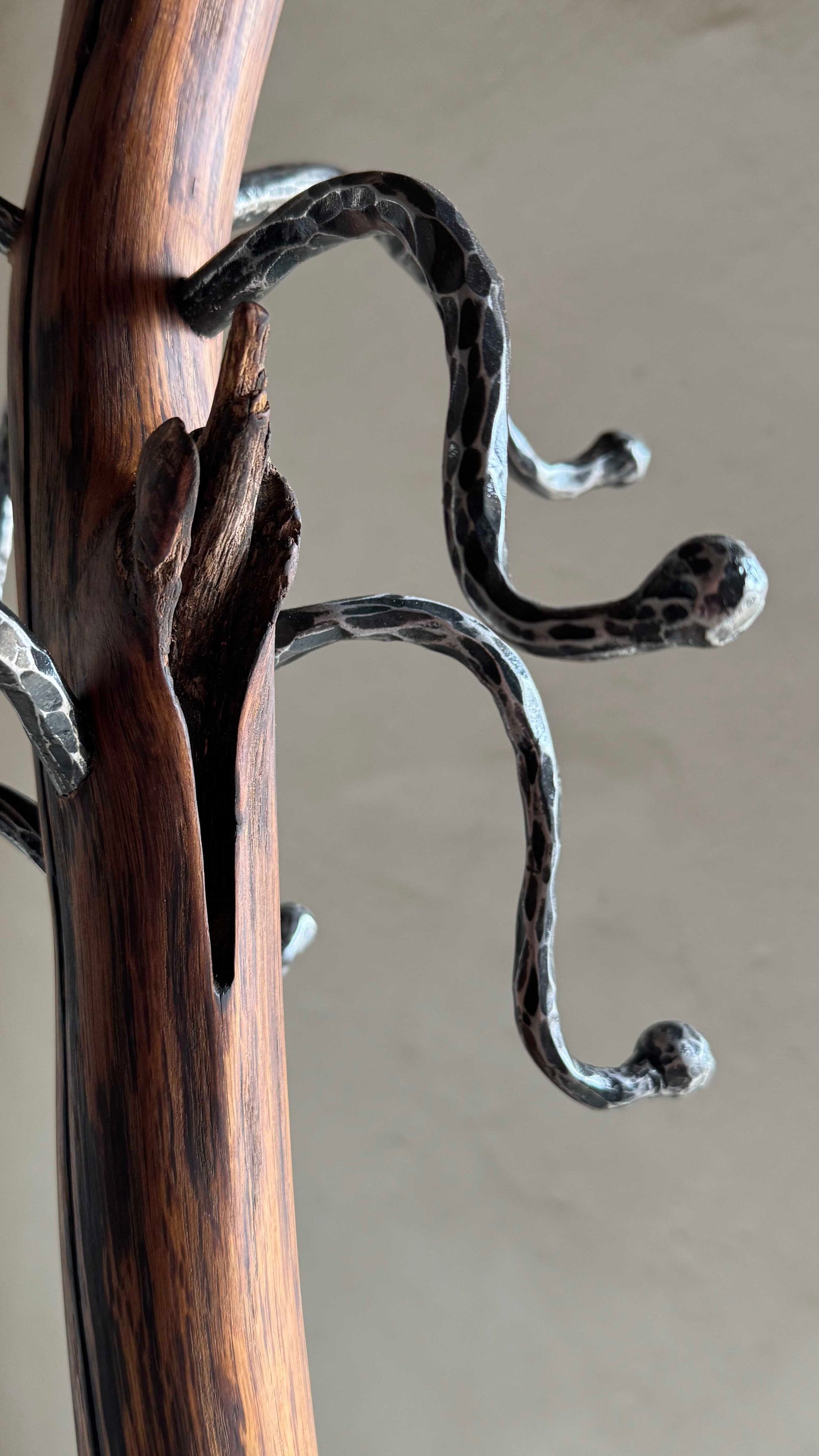 Oak Coat Rack with steel hangers Wooden coat stand against a plain wall.