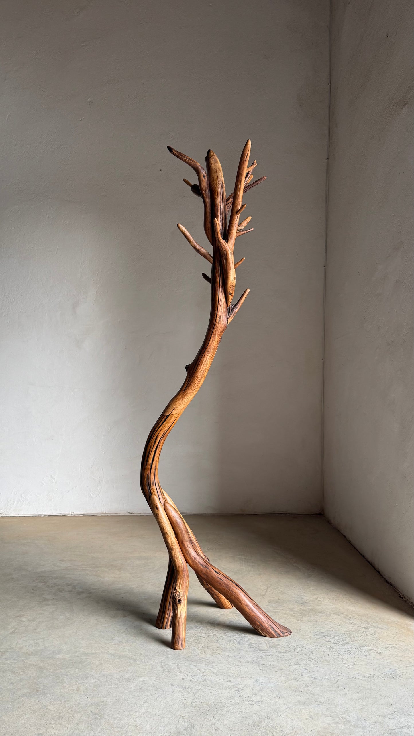 Oak Coat Rack Handcrafted Wooden coat stand shaped like a tree branch against a plain wall.