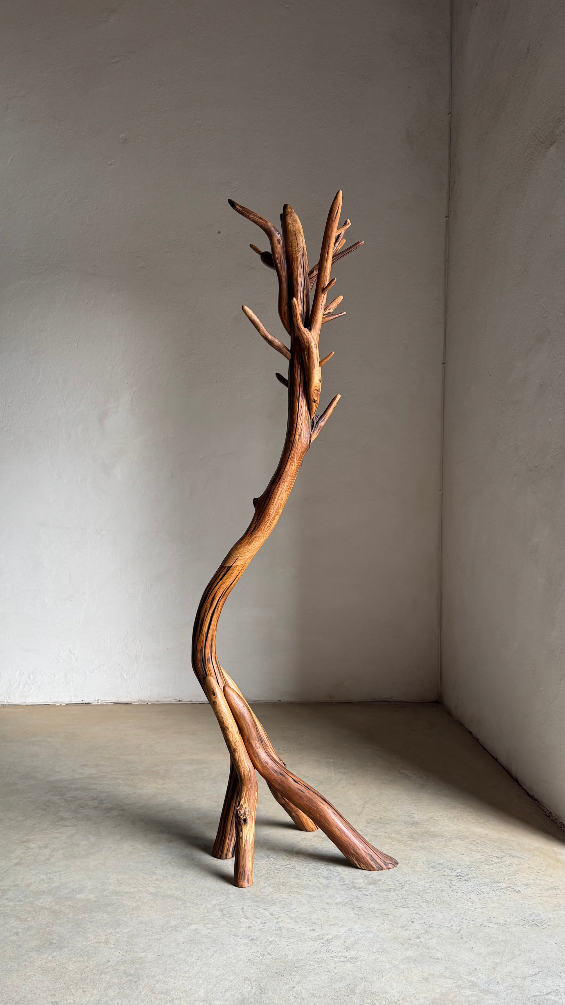 Oak Coat Rack Handcrafted Wooden coat stand shaped like a tree branch against a plain wall.