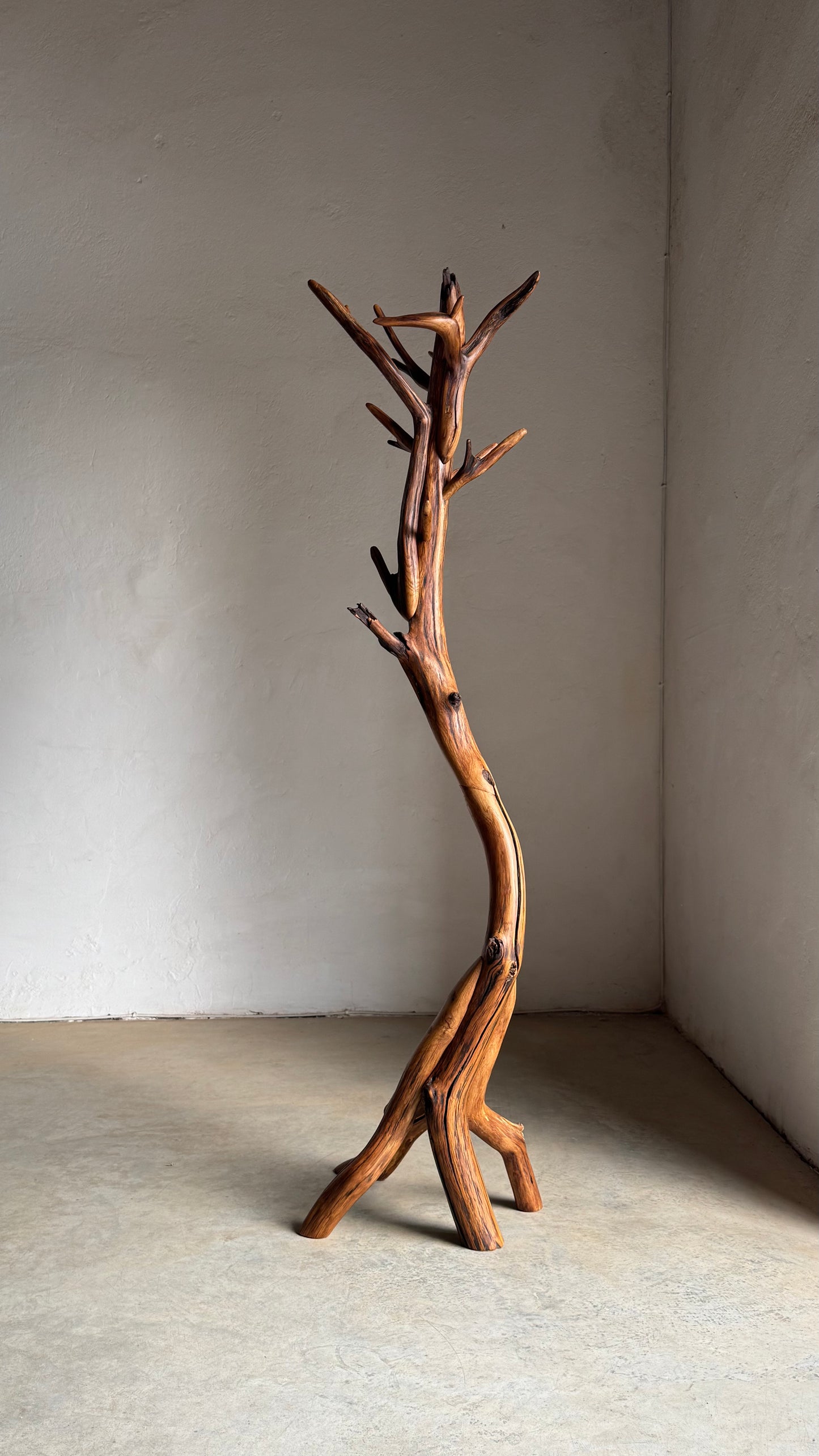Oak Coat Rack Handcrafted Wooden coat stand with natural branch design against a plain wall.