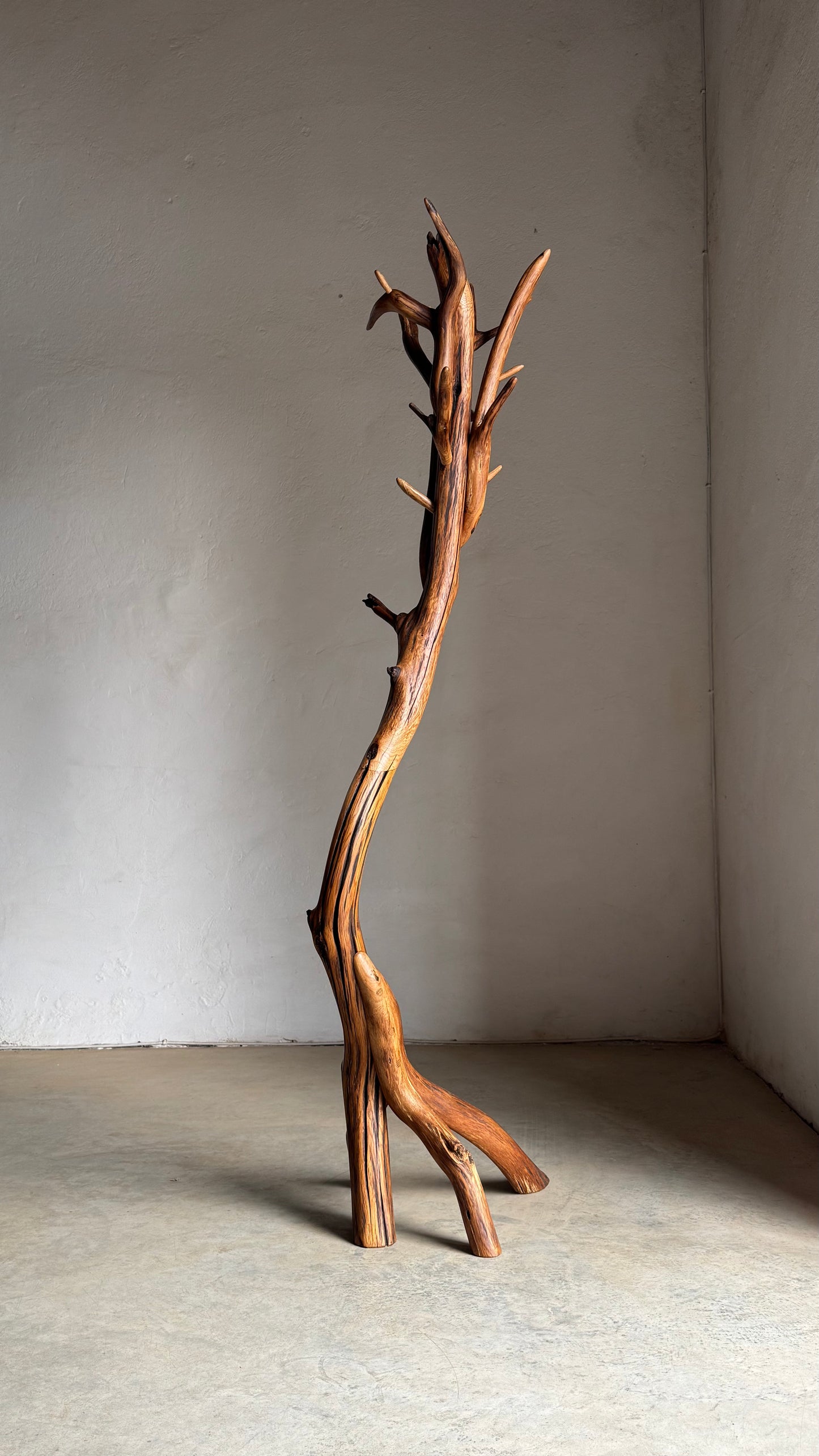 Oak Coat Rack Handcrafted Wooden coat stand with natural branch design against a plain wall.