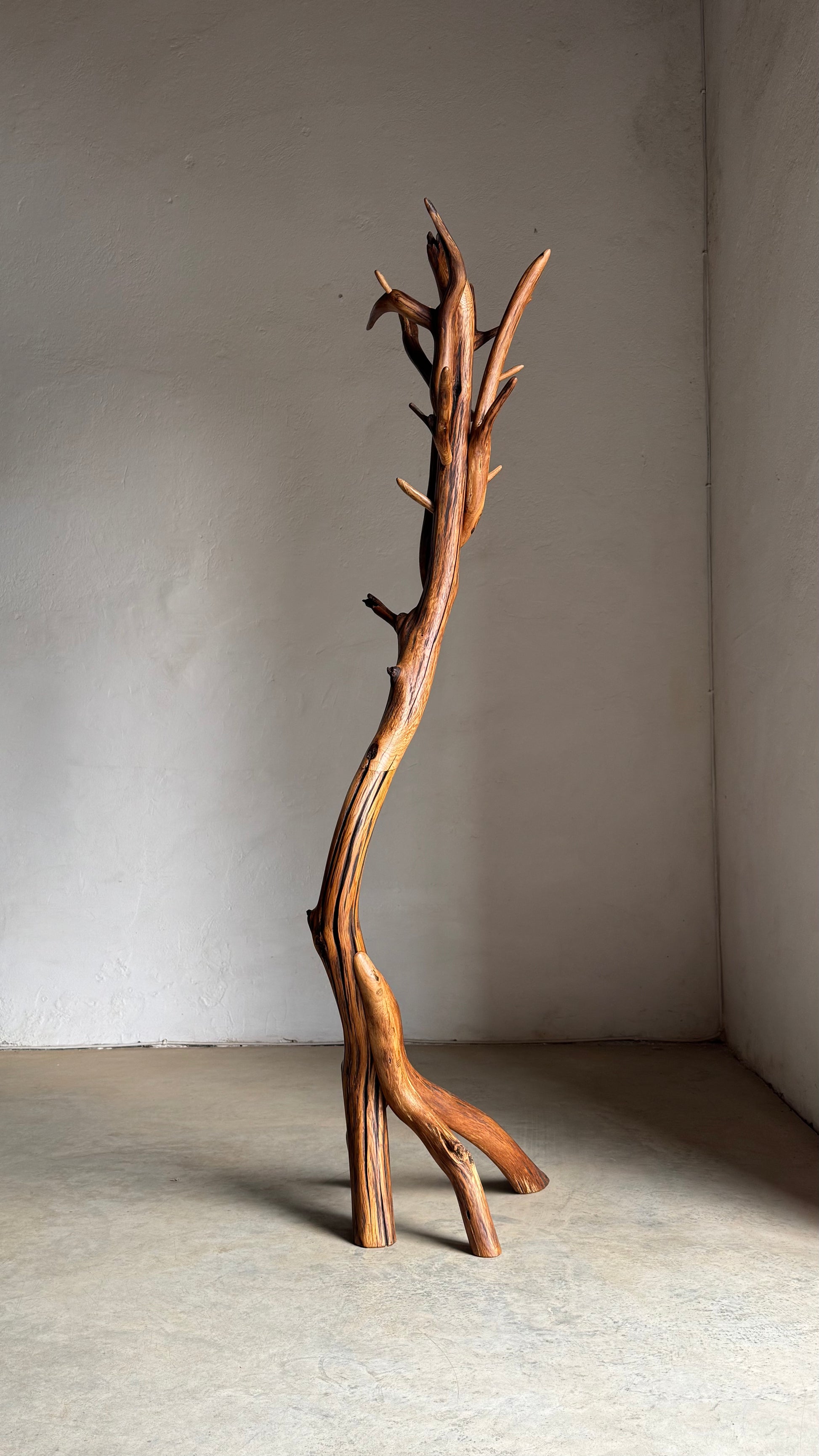 Oak Coat Rack Handcrafted Wooden coat stand with natural branch design against a plain wall.