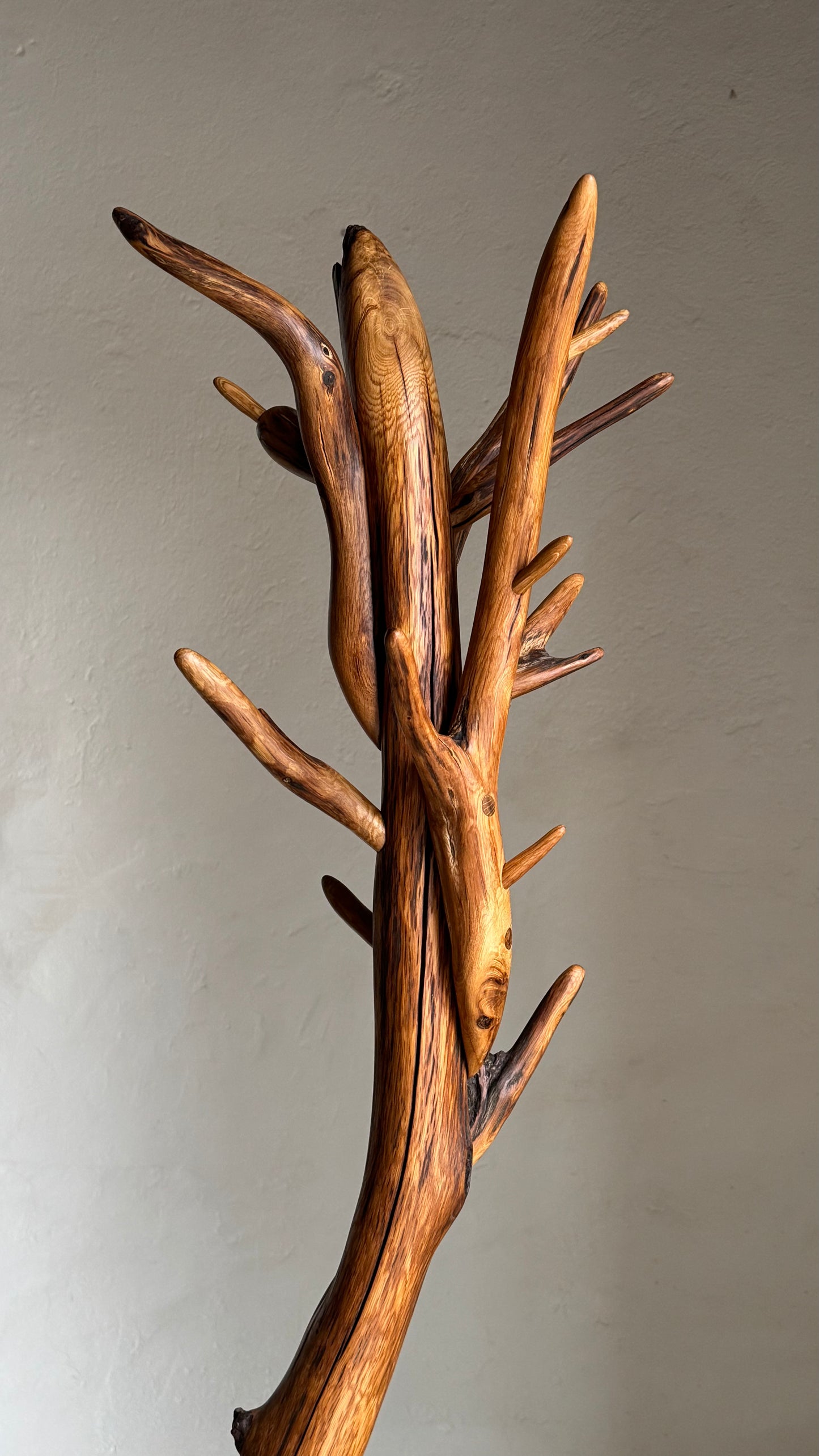 Oak Coat Rack Handcrafted Wooden branch-like coat rack against a plain wall