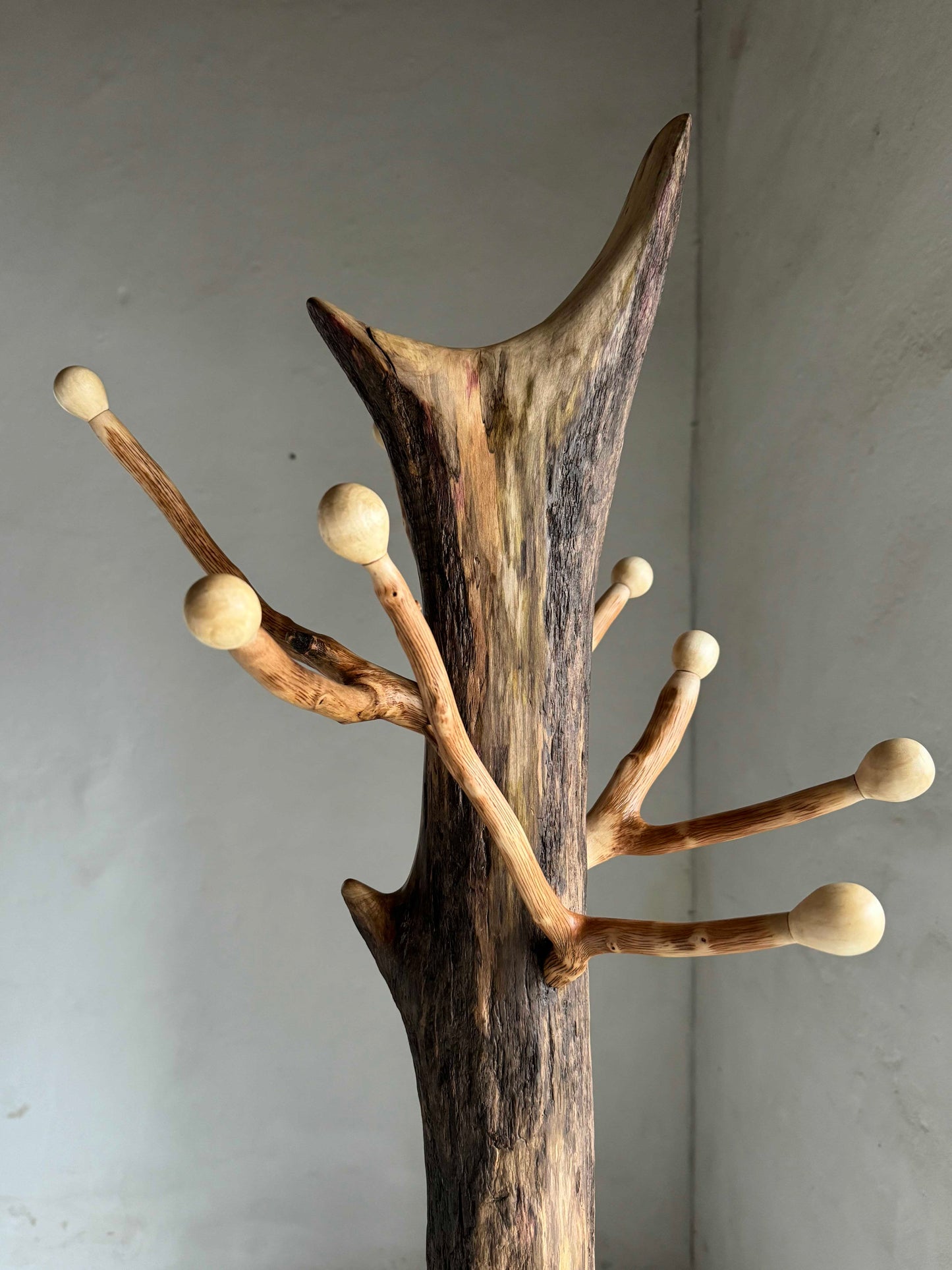 Standing Driftwood Coat Rack with Hazel Branch Hooks and Aspen Knobs