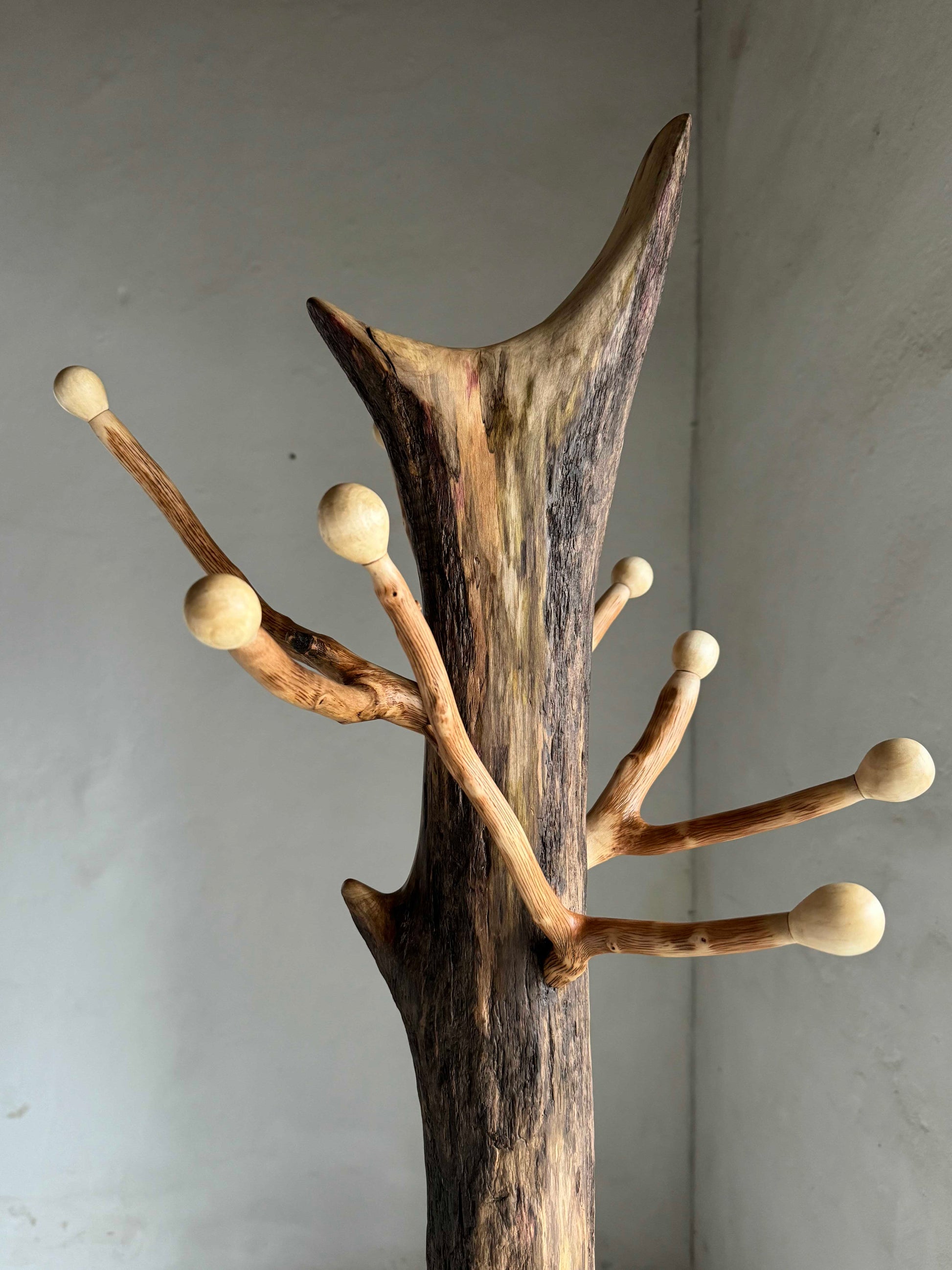 Standing Driftwood Coat Rack with Hazel Branch Hooks and Aspen Knobs