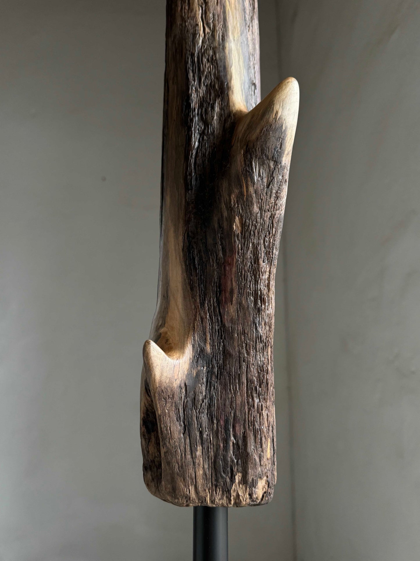 Standing Driftwood Coat Rack with Hazel Branch Hooks and Aspen Knobs