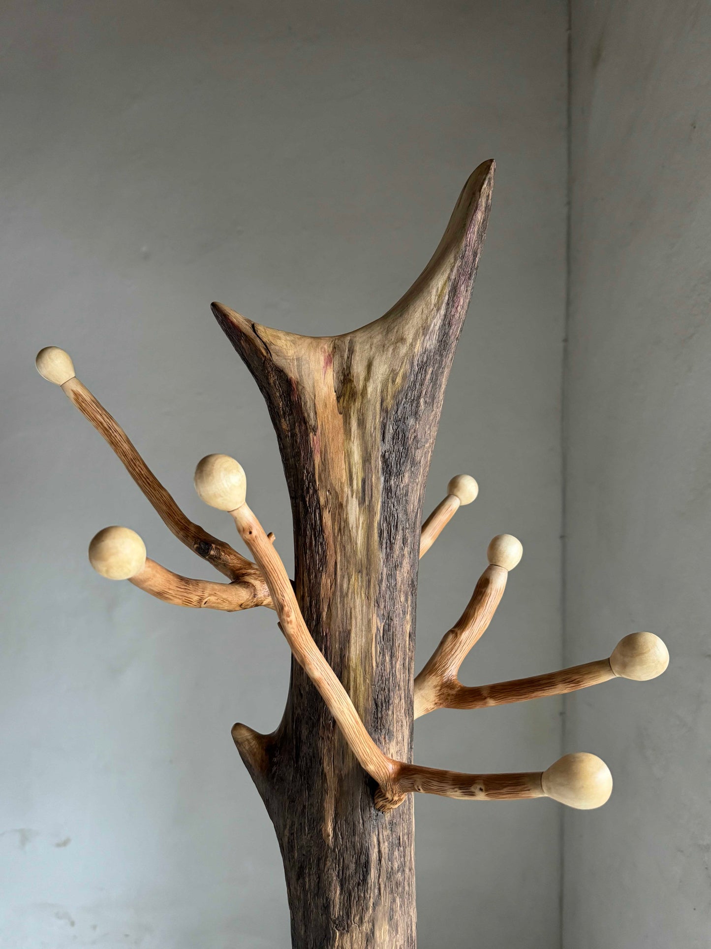 Standing Driftwood Coat Rack with Hazel Branch Hooks and Aspen Knobs
