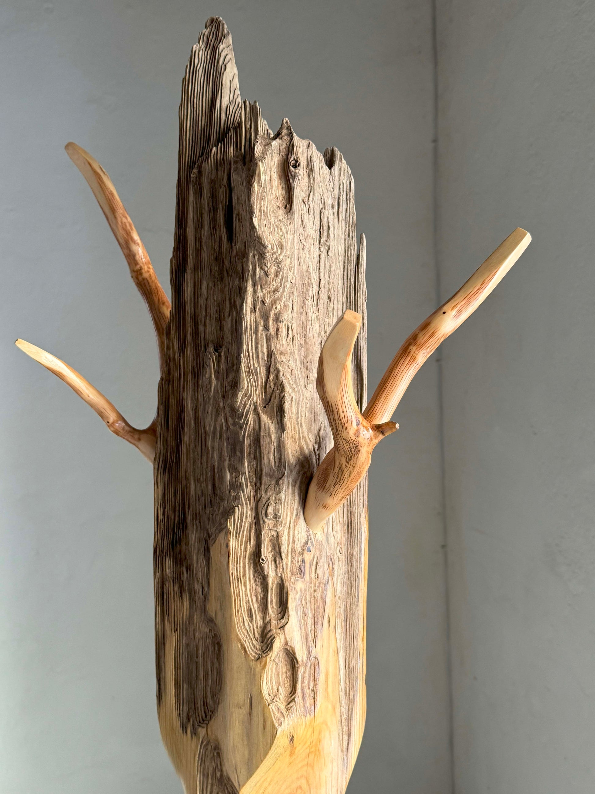 Wood Coat Rack Static Deer | Ray L'Mondes