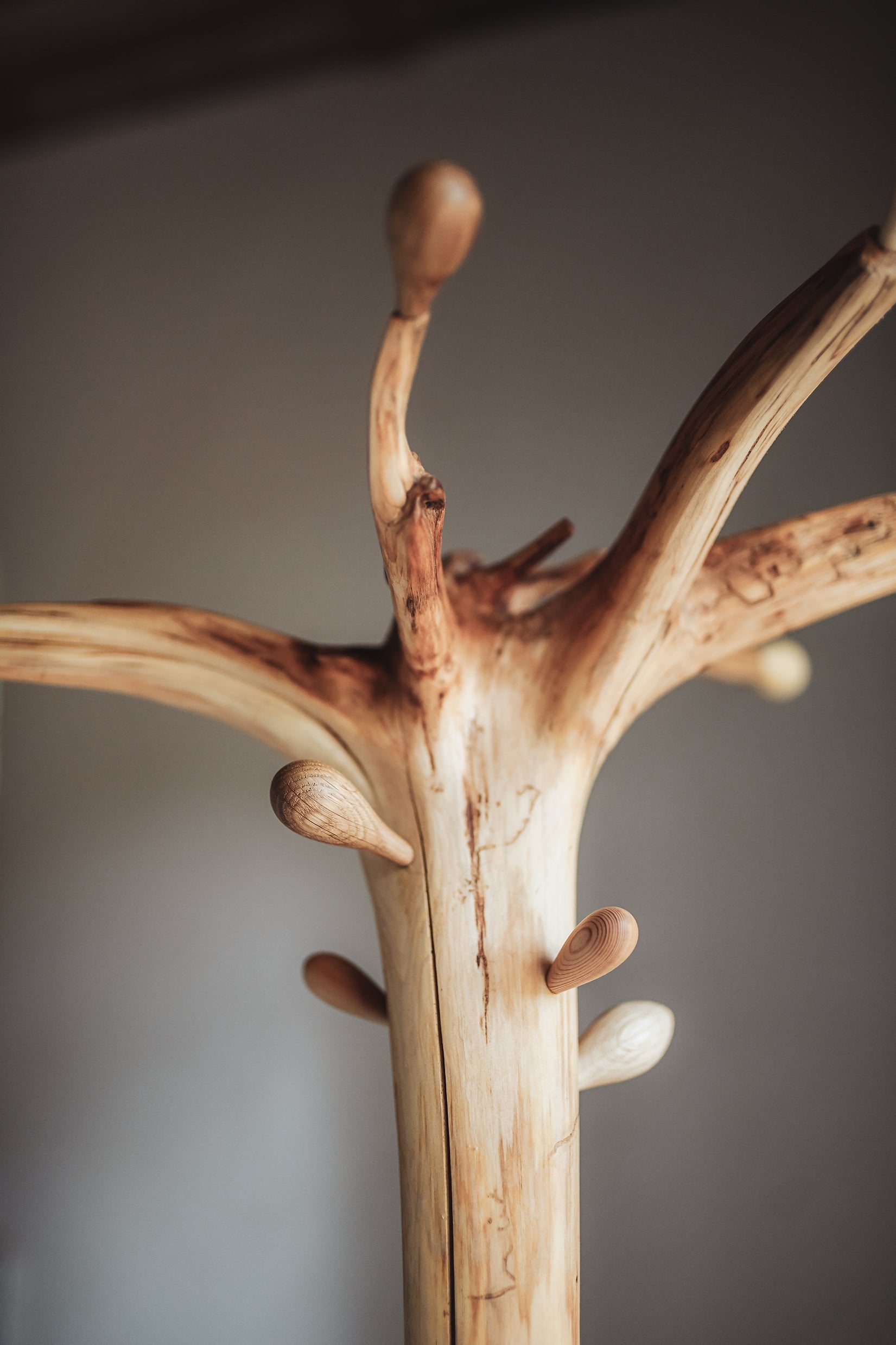 Wood Coat Rack Root of Nature | Ray L'Mondes